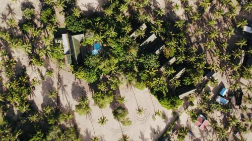 Maganja da Costa Ski Chalet | Viva O Sonho