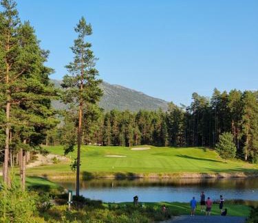 Kviteseid Apartment | Vrådal Golf Clubhouse With Views Of The First Tee!