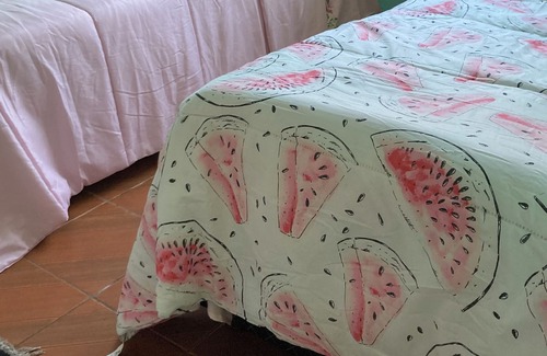 Weissopolis House | Vrbo Property