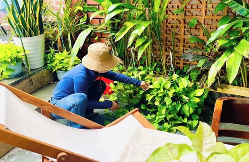 Hoi An City Centre Villa | VT Villa Cua Dai Hoi An