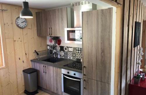 La Bresse Apartment | Vue Panoramique - 800m pistes Hohneck - Wifi - classé 3 étoiles