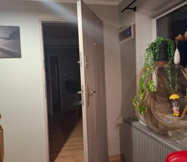 Malbork House | W&J House Friends