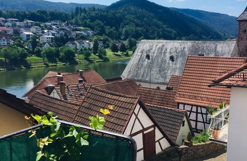 Hirschhorn House | W4.Neckar view, nature, old town