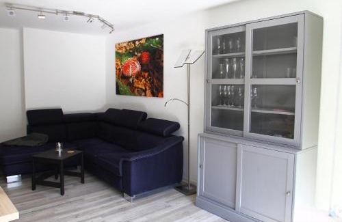 Schonach im Schwarzwald Apartment | Waldblick