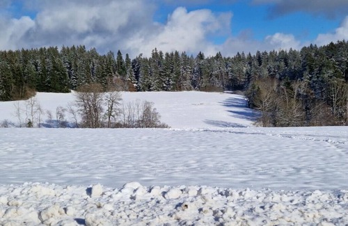 Unterkirnach House | Waldresidenz Comfortable holiday residence