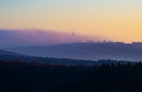Kiedrich Hotel | WALDWEIT Rheingau Hotel und Retreat