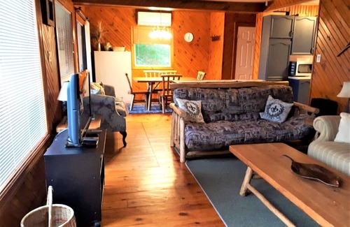 Lake of Bays Ski Chalet | Walk-In lake: Muskoka Cottage for Rent Slps 10 nr Huntsville and Algonquin Park