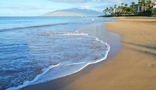 Kihei Apartment | Walk to Beach from this Renovated Studio with King Bed and Resort-Level Amenities