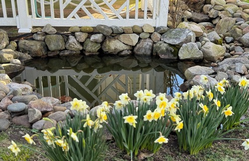 Bayview House | Walk to Beach! Spacious 4-bedroom house in charming Norfolk-this home has it ALL