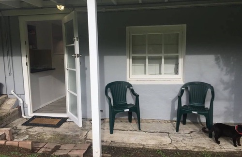 Eden Terrace Apartment | Walk to Eden Park! Kingsland studio