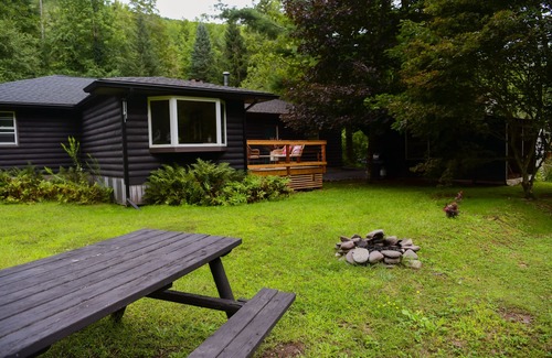 Shandaken Cottage | Waterfront Modern Cabin - BLAK House