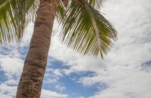 Maceio Apartment | Wave Suítes Hotel & Lounge Bar