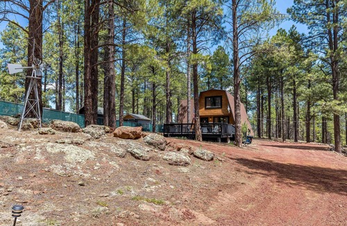 Williams Cabin | We have A/C Book Summer Now! The Cajun Cottage