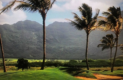 Bayview Apartment | Weekly Rental at The Point at Poipu Resort