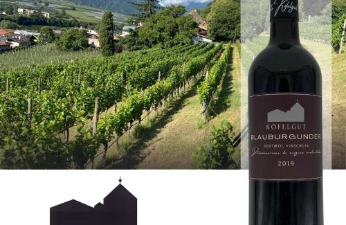 Castelbello-Ciardes Apartment | Weingut Köfelgut - Turris Vini
