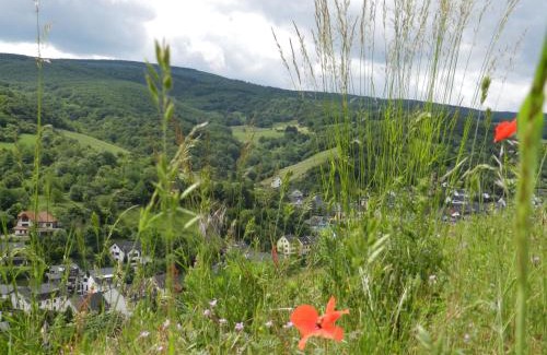 Mainz-Bingen Hotel | Weingut Stassen