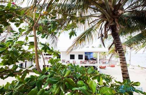 Xcalak House | Welcome To Flying Cloud Beach Hotel
