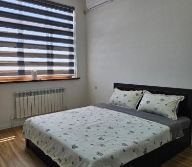 Samarkand Apartment | well apartment