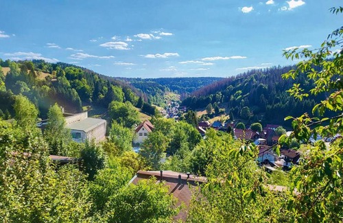 Fehrenbach House | Werrapark Resort Ferienhäuser Am Sommerberg Premium