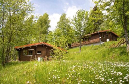 Fehrenbach House | Werrapark Resort Ferienhäuser Am Sommerberg Premium
