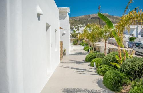 Paros Hotel | White Blossom