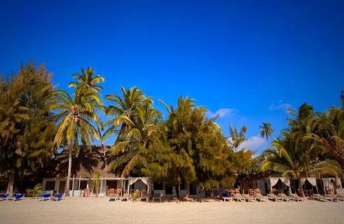 Kiwengwa Bed & Breakfast | White Dream
