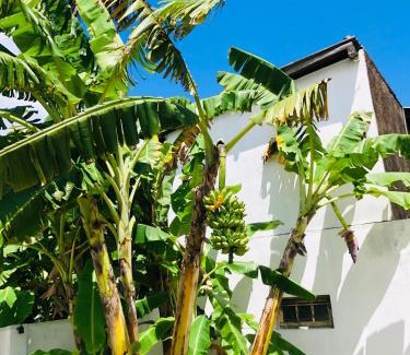 Dodanduwa Bed & Breakfast | White on White