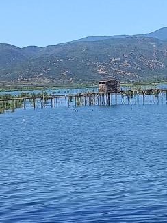 Nov Dojran Apartment | White Sky