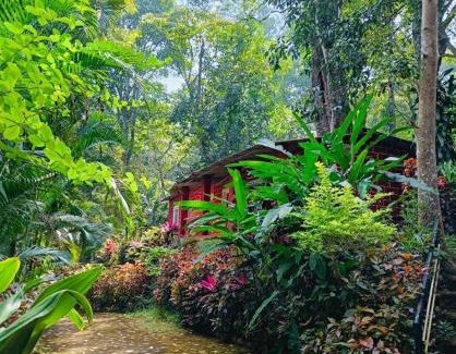 Ganeshgudi Resort | White Water Resort dandeli