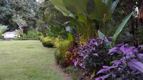 Munduk Villa | Wikubu Villa