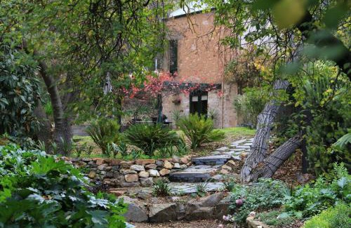 Upper Wakefield Bed & Breakfast | Wild Olive Cottage Clare Valley