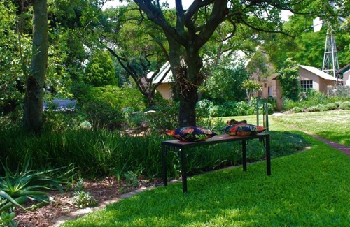 Krugersdorp House | Wild Olive Cottage for 2 People in Wonderful Garden!