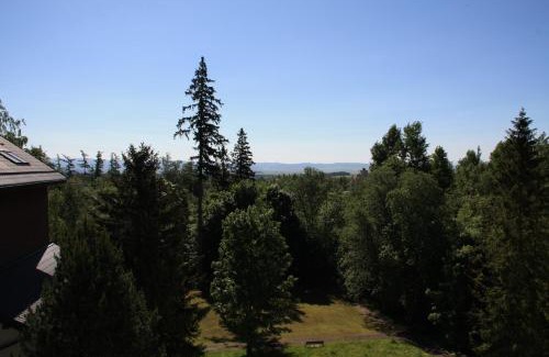 Tatranska Lomnica Apartment | Wili Tatry Apartments