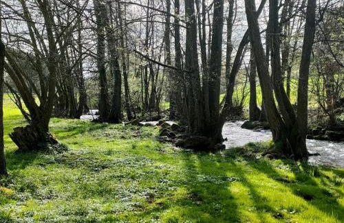 Birstein House | Wind in den Weiden, Übernachten am Bachlauf