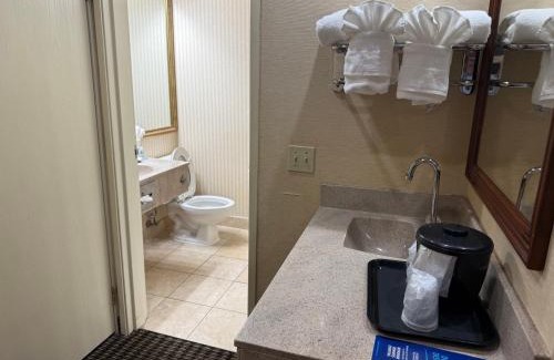Livonia Hotel | Wingate by Wyndham Livonia