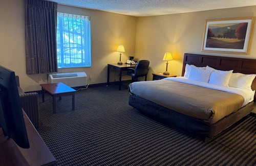 Livonia Hotel | Wingate by Wyndham Livonia