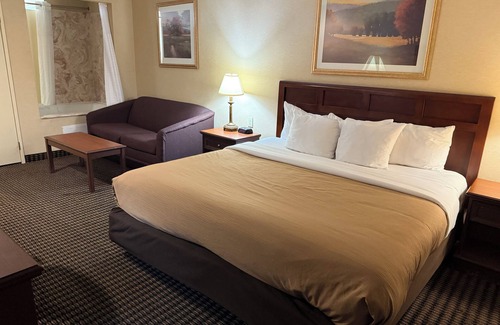 Livonia Hotel | Wingate by Wyndham Livonia