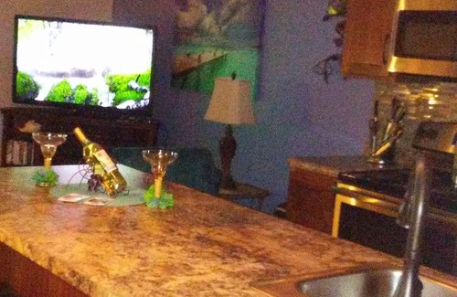 Port Clinton Condo | WINTER RENTERS ACCEPTING, POOL CLOSES OCT 6,n BEAUTIFUL CONDO ON LAKE ERIE,