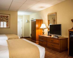 Clearwater Beach Hotel | Winter the Dolphin's Beach Club, an Ascend Collection Hotel