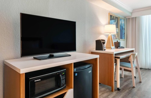 Clearwater Beach Hotel | Winter the Dolphin's Beach Club, an Ascend Collection Hotel