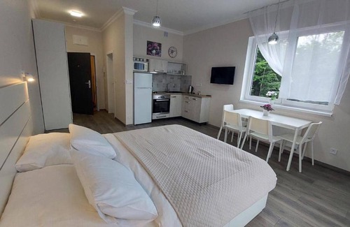 Marianske Lazne Apartment | WITH LOVE Marienbad Ap. Garden