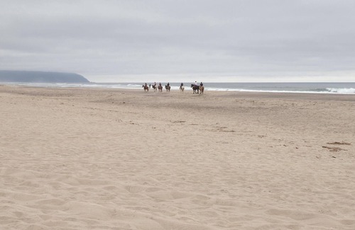 Pacific City House | With Salt, Please