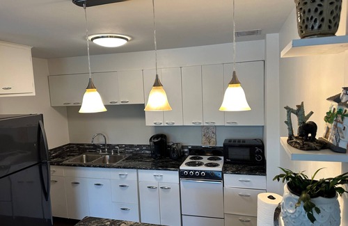 South Addition Apartment | Within walking distance to downtown. Near shopping, attractions, and nightlife