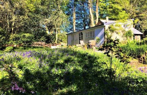 Falmouth House | Wodehouse