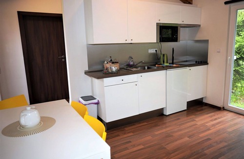 Dolni Branna House | Wonderful private villa for 4 guests with WIFI, hot tub, TV, terrace and pets allowed