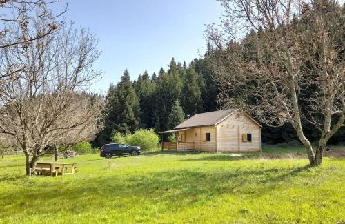 Vlacherna Ski Chalet | Wood Cabin by the River - for Nature Lovers