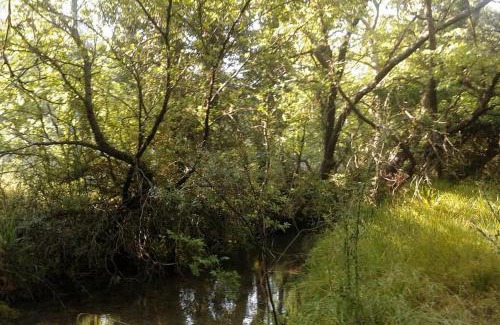 Vlacherna Ski Chalet | Wood Cabin by the River - for Nature Lovers