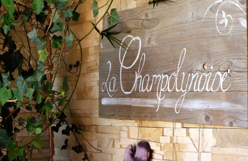 Champoly Cottage | Wooden cottage with natural pool, 3 rooms with private terraces