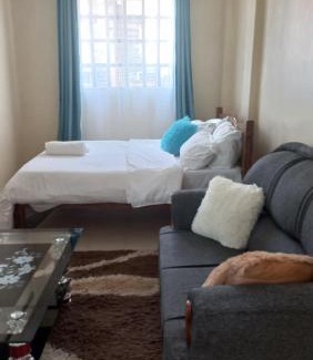 Kisii Apartment | Woodgreek Studio Fully Furnished Apartment