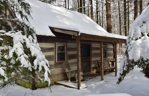 Laurelville Cabin | Woodland view-Blue Log Cabin